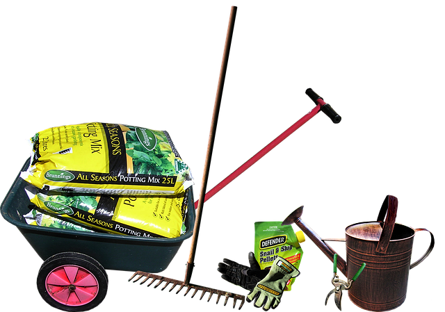 Bug-out bags for a 5-person household
