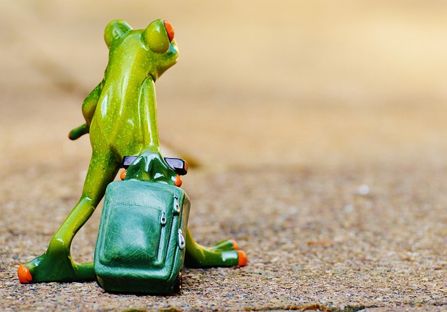Bug-out bags for a 5-person household