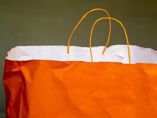 Customize Your Wilderness Survival Kit: Bug-out Bag Essentials
