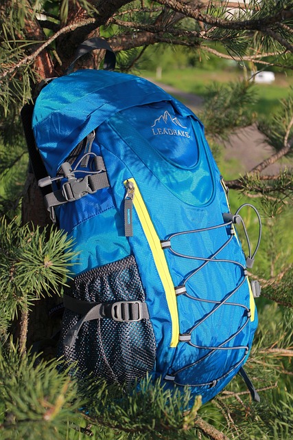 Bug-out bags for a 5-person household