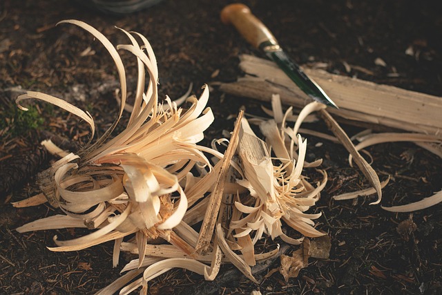 Bug-out bag recommendations for wilderness survival