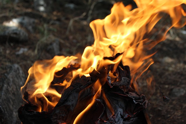 Bug-out bag recommendations for wilderness survival