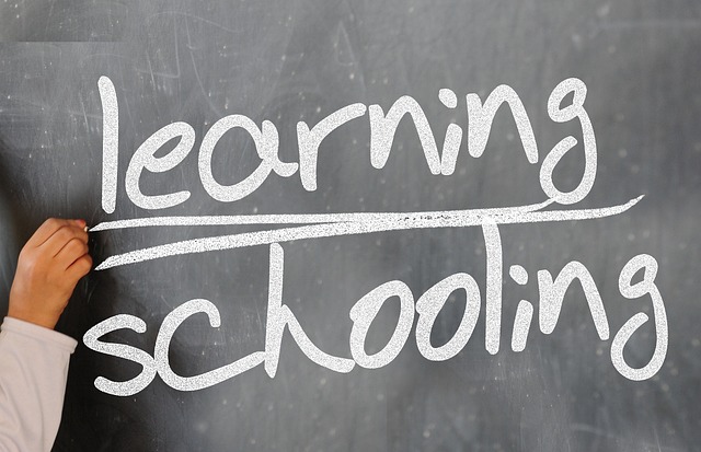 Cost-effective bug-out bag builds for students