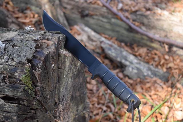 Survival skills to learn for your bug-out bag